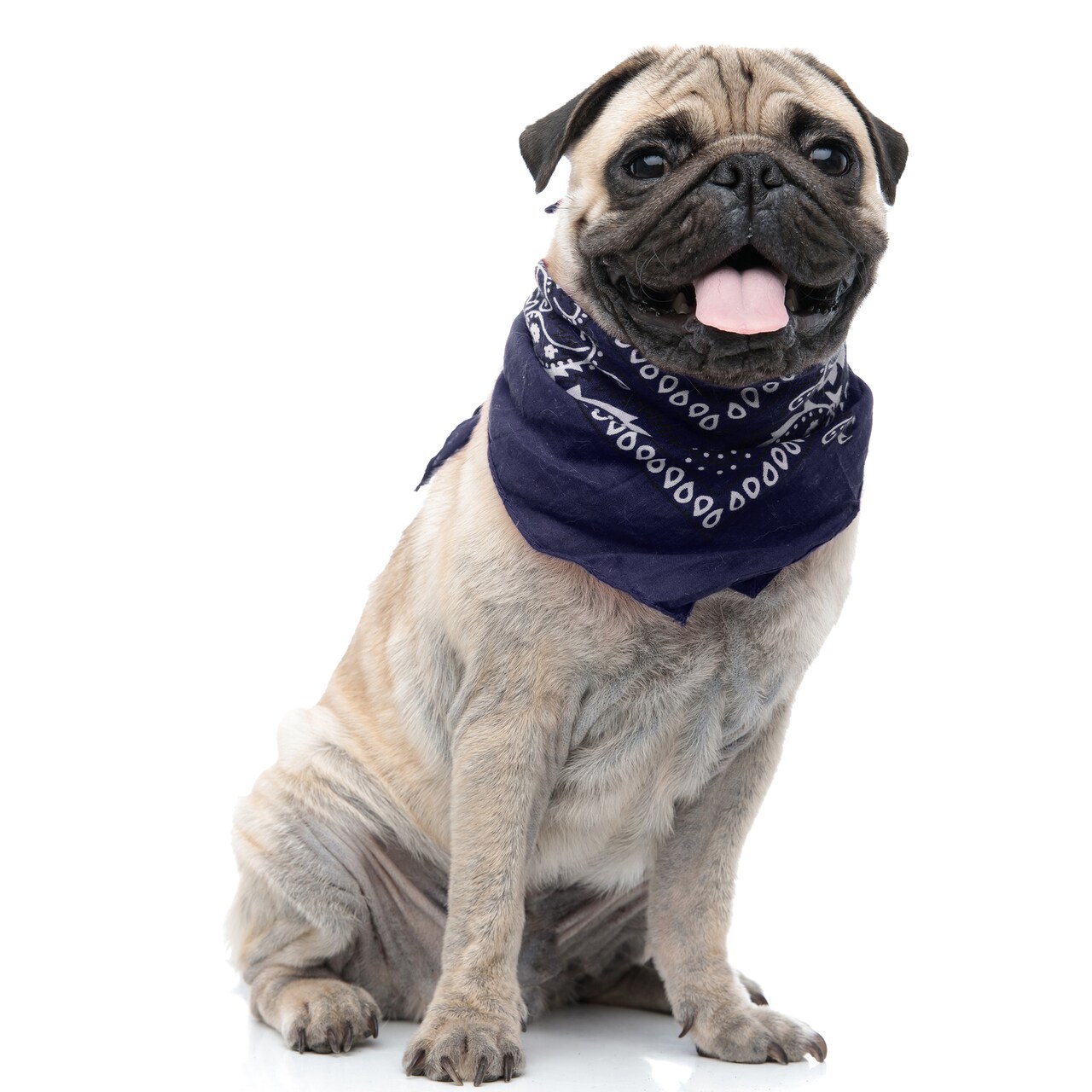 Paisley Polyester Set of 3 Dog & Cats Bandana Triangle Bibs - Regular Size